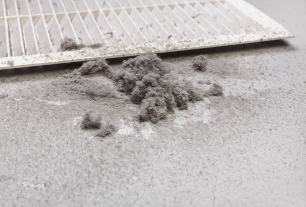 Best Dryer Vent Cleaning Services  in Stevenson, AL