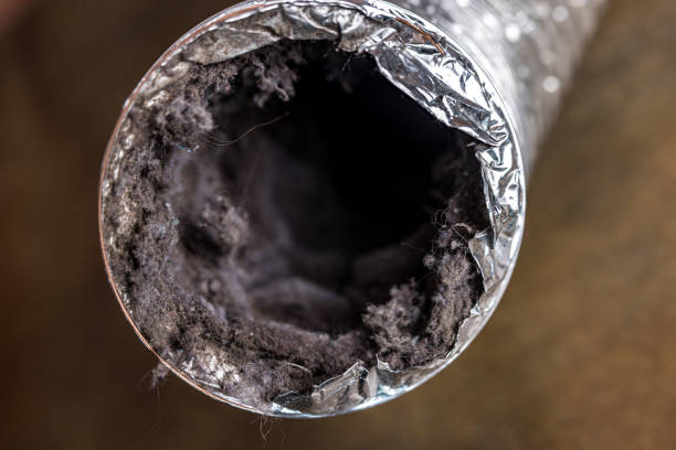 Best Emergency Air Duct Cleaning  in Stevenson, AL